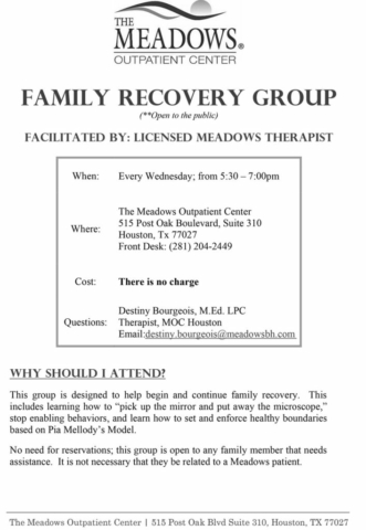 Meadows Free Family Group Therapy Session - Join Us Today